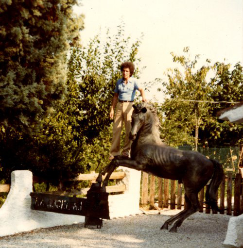 Конная статуя, выполненная из кованого железа, Pedeguarda-Follina, Treviso.